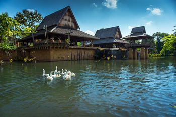 Outdoor Pictures 22