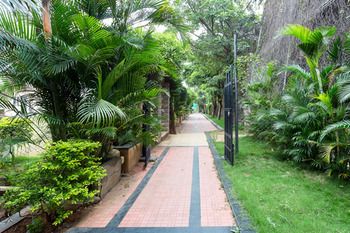 Outdoor Pictures 21