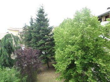 Outdoor Pictures 11