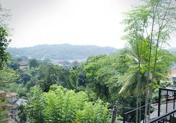 Outdoor Pictures 21