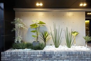 Outdoor Pictures 24