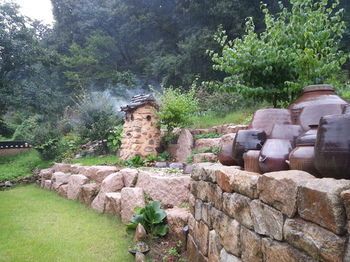 Outdoor Pictures 7