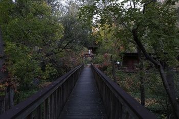Outdoor Pictures 18