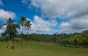 Outdoor Pictures 11