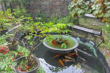 Outdoor Pictures 22