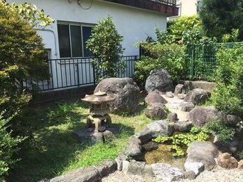 Outdoor Pictures 11