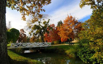 Outdoor Pictures 7