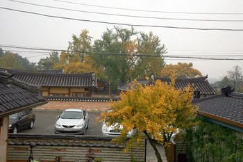 Outdoor Pictures 20