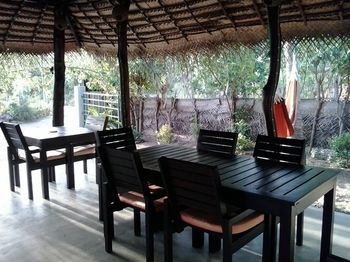 Outdoor Pictures 15