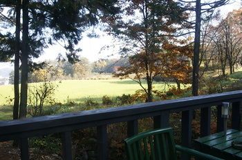 Outdoor Pictures 14