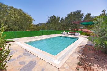 Tomato Bodrum