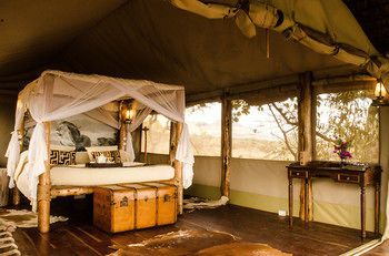 Kanzi House