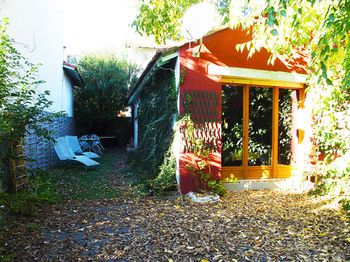 Outdoor Pictures 1