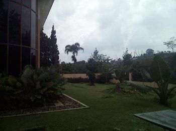 Outdoor Pictures 12