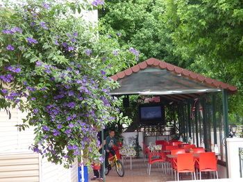 Outdoor Pictures 18