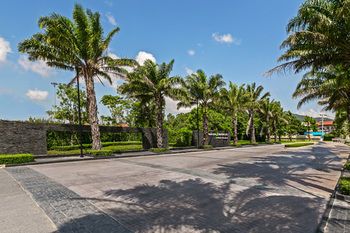 Outdoor Pictures 24