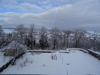 Outdoor Pictures 22