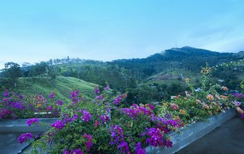 Outdoor Pictures 21