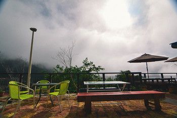 Outdoor Pictures 21