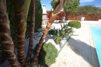 Outdoor Pictures 15