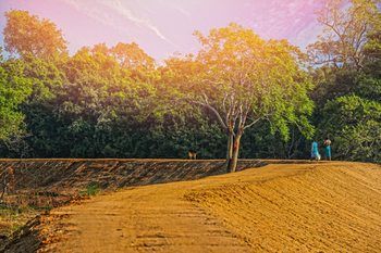 Outdoor Pictures 21