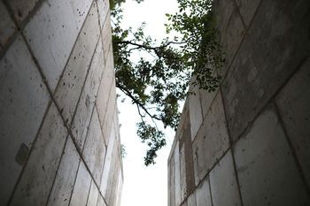 Hotel Mumu