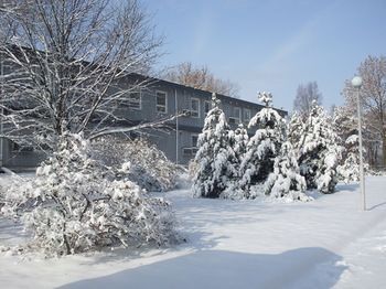 Outdoor Pictures 24