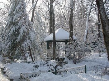 Outdoor Pictures 19