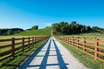 Outdoor Pictures 21