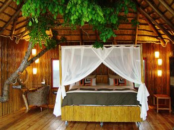 Pezulu Tree House Lodge