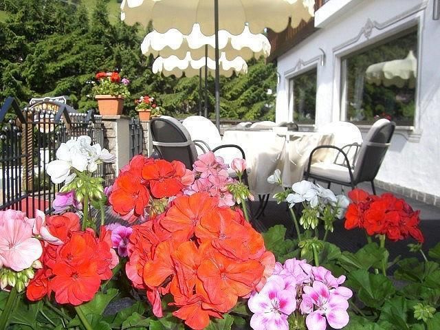 Outdoor Pictures 21