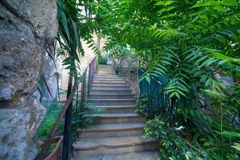 Outdoor Pictures 15