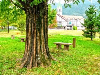 Outdoor Pictures 11