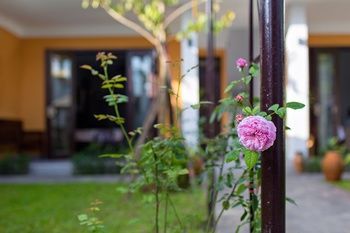 Outdoor Pictures 14