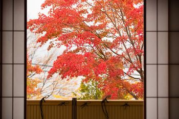 Outdoor Pictures 22