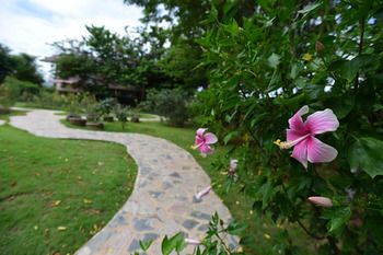 Outdoor Pictures 14