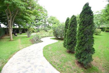 Outdoor Pictures 12