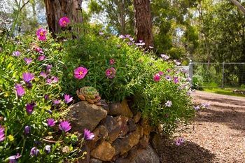 Outdoor Pictures 15