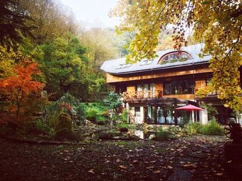 Outdoor Pictures 24