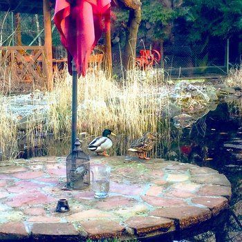 Outdoor Pictures 22