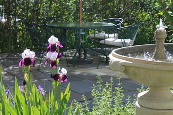 Outdoor Pictures 15