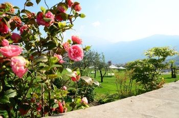 Outdoor Pictures 21