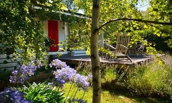 Outdoor Pictures 21
