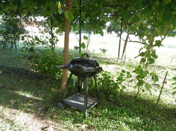 Outdoor Pictures 19