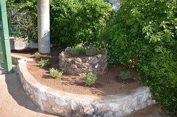 Outdoor Pictures 20