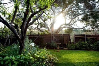 Outdoor Pictures 8
