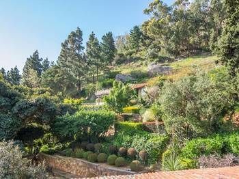 Outdoor Pictures 21