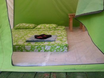 Outdoor Pictures 9