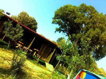 Outdoor Pictures 17