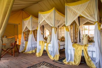 Kisura Serengeti Tented Camp